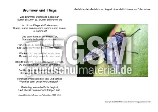 Brummer-und-Fliege-Fallersleben.pdf